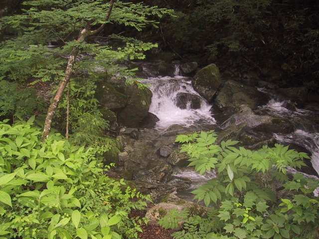 f0046250_17331316.jpg