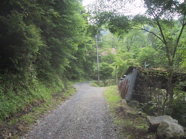 f0046250_17341868.jpg