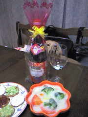 c0025852_22383882.gif