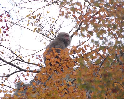 e0035757_20525250.jpg