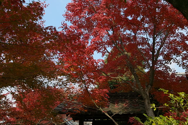 2006京都紅葉-06・07・08・09・10・11・12_c0101558_23235828.jpg