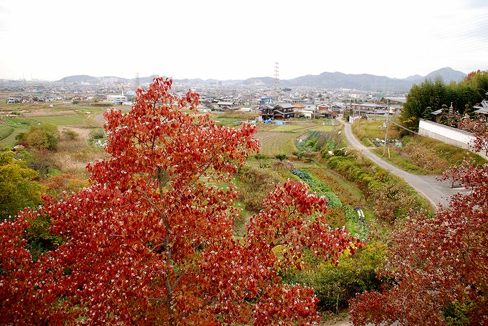 加古川の風景_e0053660_8564873.jpg