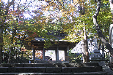 a0020777_18115581.jpg
