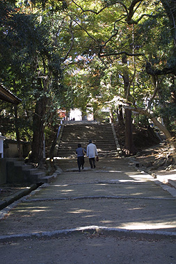 a0020777_18121329.jpg