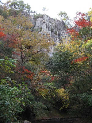 一枚岩の清流に映る紅葉・・・岳切渓谷_c0001578_241684.jpg