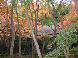 f0095391_14302179.jpg