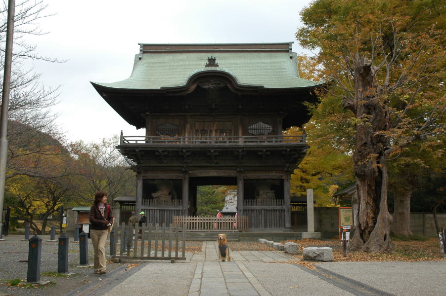 今日のお散歩もお寺さん_c0104492_2384261.jpg