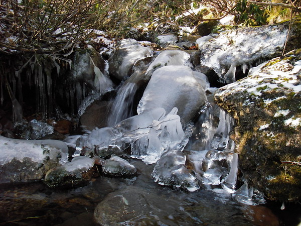 a0043193_2143337.jpg