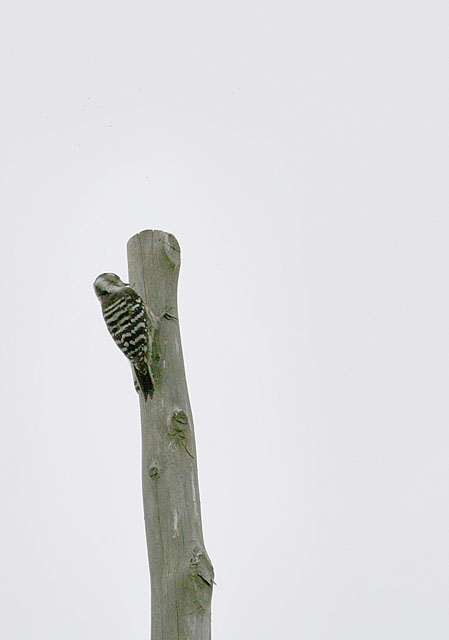 b0024798_5565613.jpg