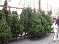 c0088402_13365032.jpg