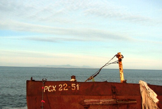 f0020302_12335461.jpg