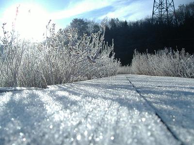 d0087503_22533346.jpg