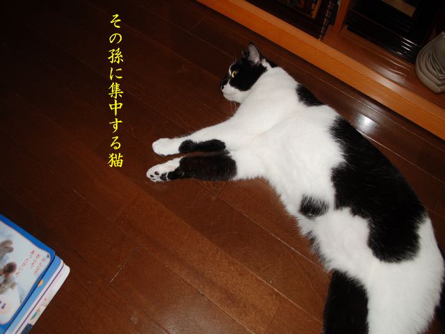 e0094407_2322165.jpg