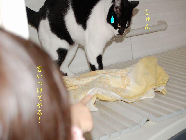 e0094407_2394697.jpg