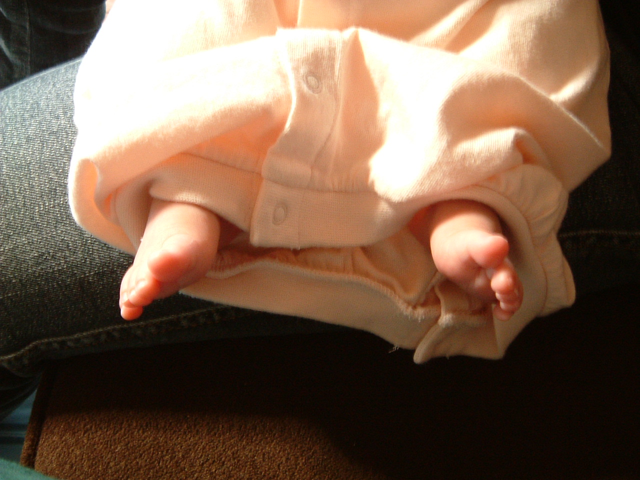 *田子町 日帰り*_e0100210_1926015.jpg