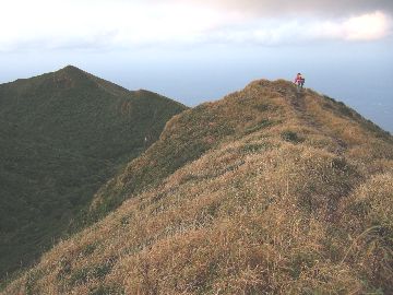 八丈島_d0057811_253585.jpg