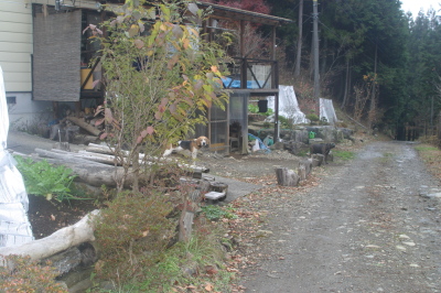 f0083013_16415072.jpg