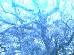 b0088524_0441535.jpg