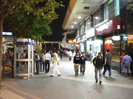 c0012532_2321145.jpg