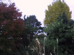 f0013738_215839.jpg