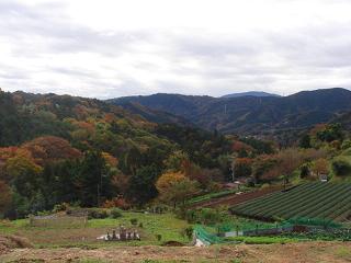 a0048040_1753281.jpg