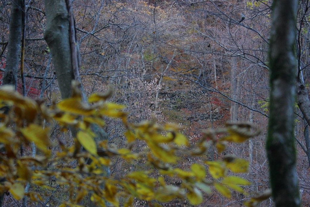 c0008948_1650748.jpg
