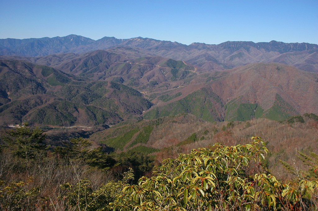c0008948_17121998.jpg