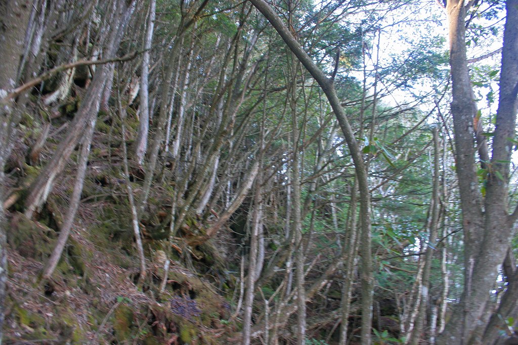 c0008948_1734767.jpg
