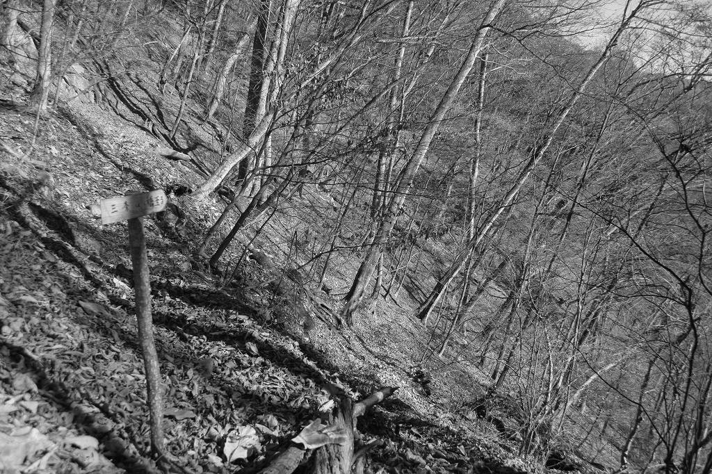 c0008948_1740821.jpg