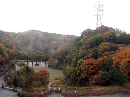 f0007956_10295464.jpg