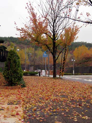 f0007956_1030350.jpg