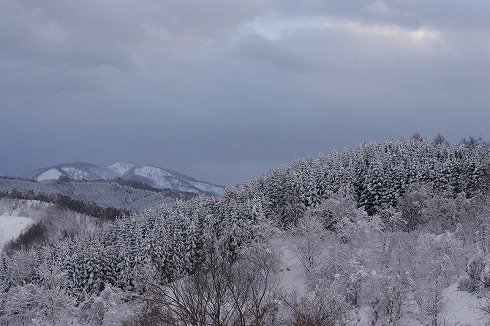 目からウロコ_f0048266_18262353.jpg