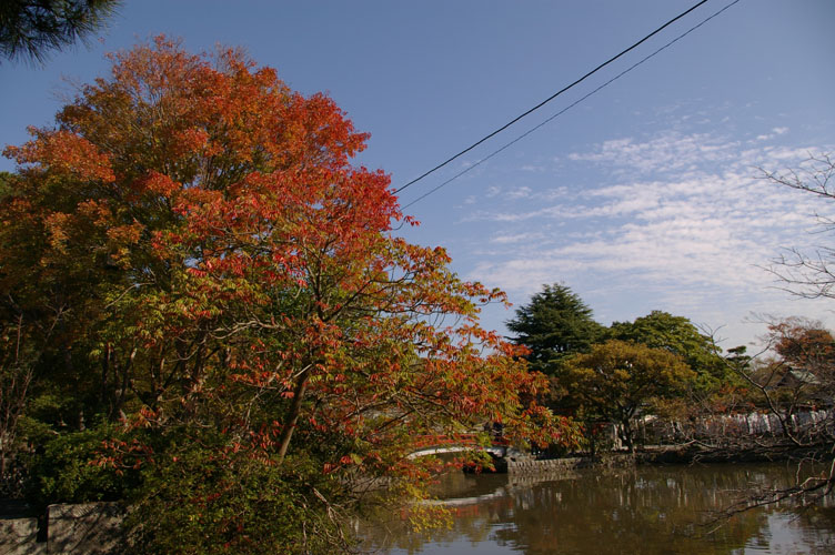 f0063686_2024829.jpg