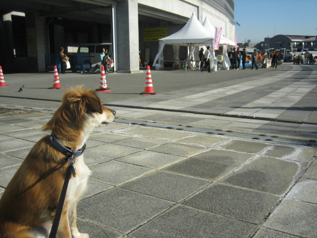 b0054391_13674.jpg