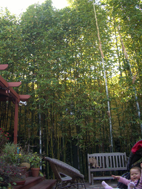 d0087194_655184.jpg