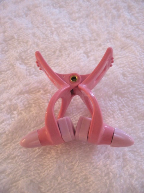 涙ぐましい努力?_a0091095_1538594.jpg