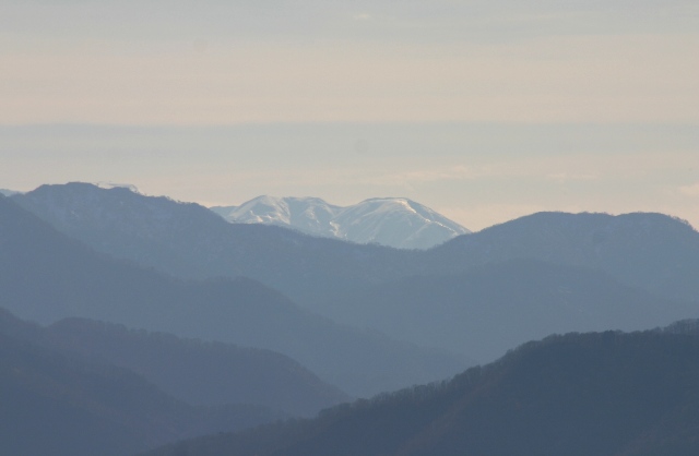 d0010900_2041092.jpg