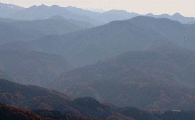 d0010900_20411322.jpg