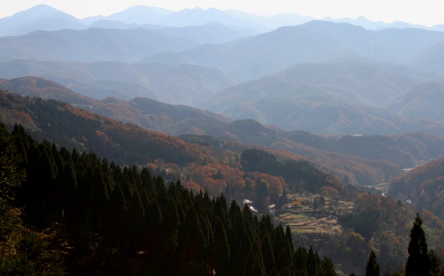 d0010900_20412636.jpg