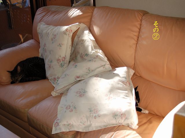 e0094407_23252835.jpg