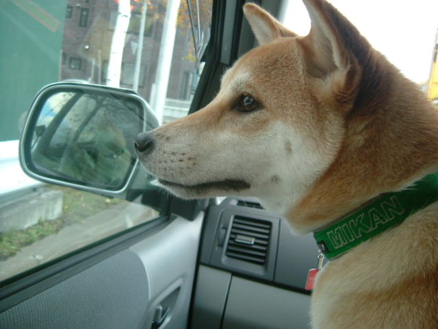 e0090110_2182025.jpg