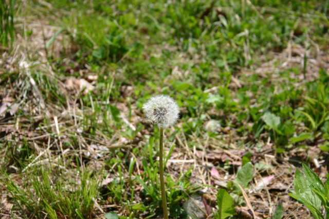 a0084221_22302218.jpg