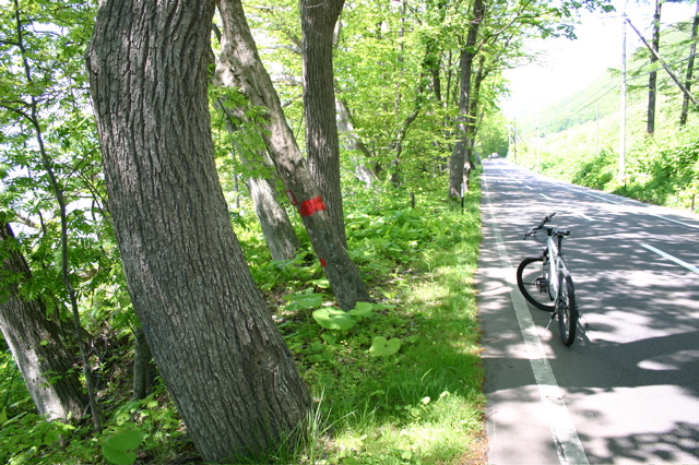 a0084221_2230954.jpg
