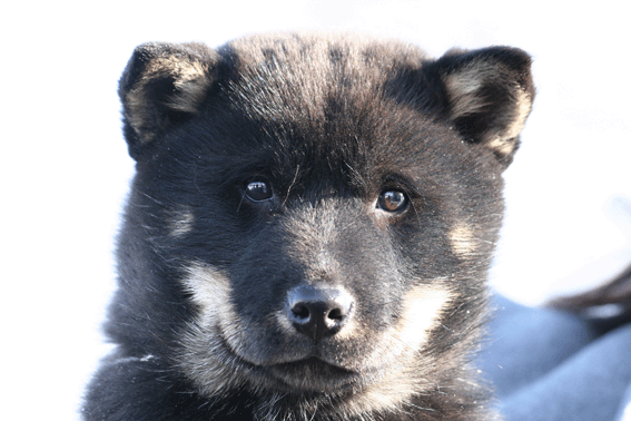 d0069235_1153968.gif
