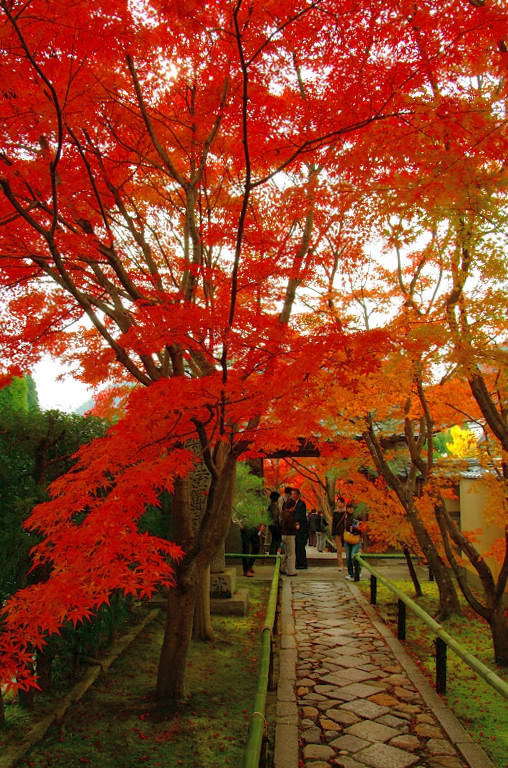 茶人の趣？　～光悦寺～_b0109942_0225314.jpg