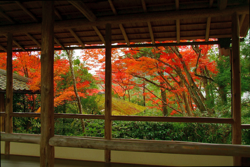 茶人の趣？　～光悦寺～_b0109942_0233293.jpg