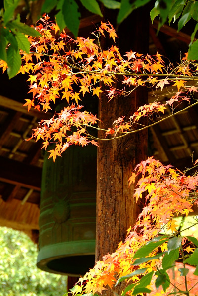 茶人の趣？　～光悦寺～_b0109942_039151.jpg