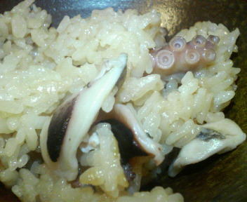 f0088647_20262883.jpg