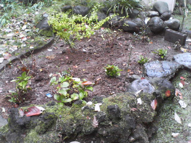 b0080053_0203496.jpg