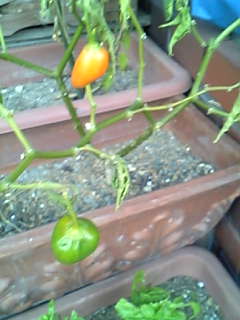 f0073958_16202538.jpg